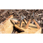 Мультитул Wood-